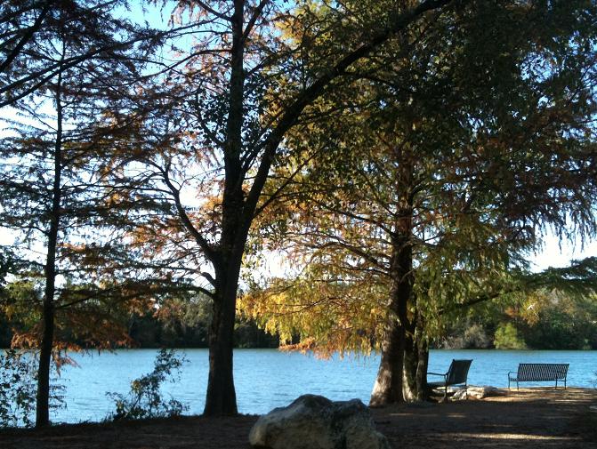 late_autumn_benches_austin