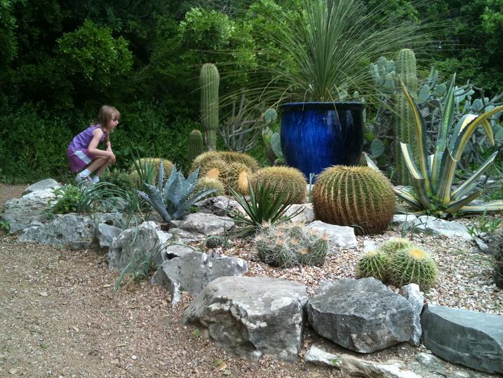 Zilker_Botanical_gardens_Austin_6