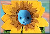 sunflower_kommint