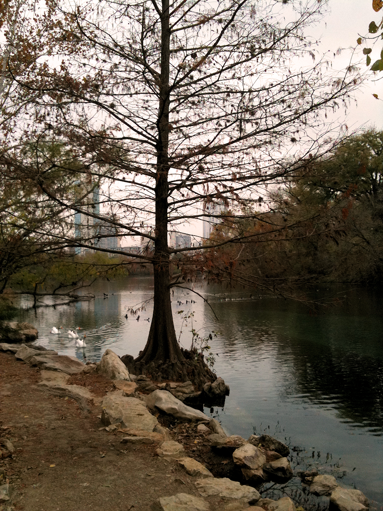 Austin_Trail_Fall_2010