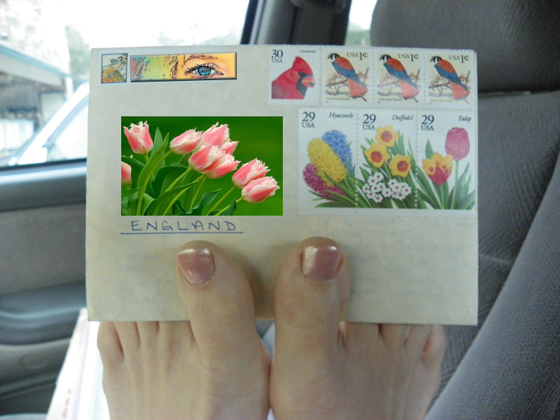 letter_toes_tulips