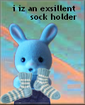 sockholder