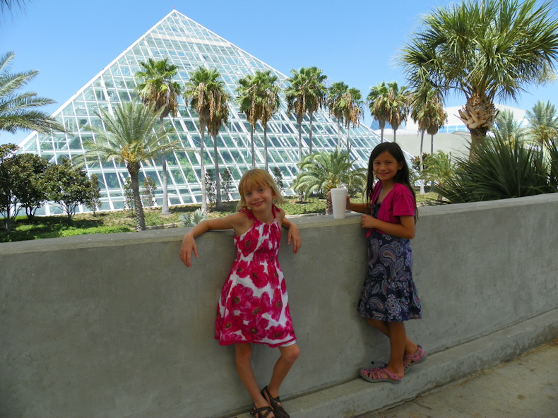 pyramid_with_palms